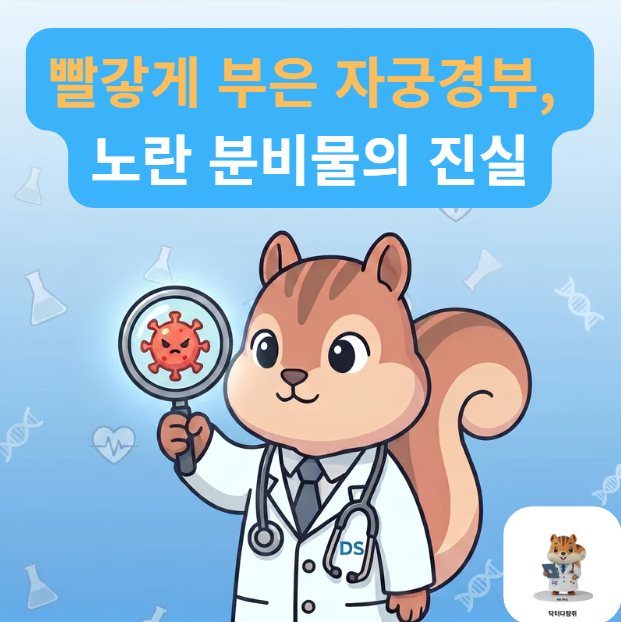 [전문의] 자궁경부염 증상과 원인균 총정리: 노란 분비물, 빨간 자궁경부, 골반염 위험까지 (....