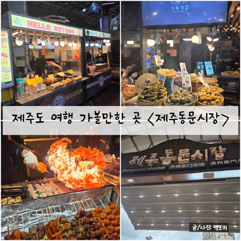 [제주/제주시] 제주도 여행 가볼만한 곳 동문재래시장 탐방기 (feat. 먹거리 천국)