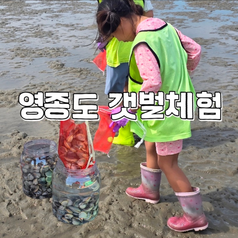 인천 서해 영종도 아이랑가볼만한곳 마시안 갯벌체험 준비물