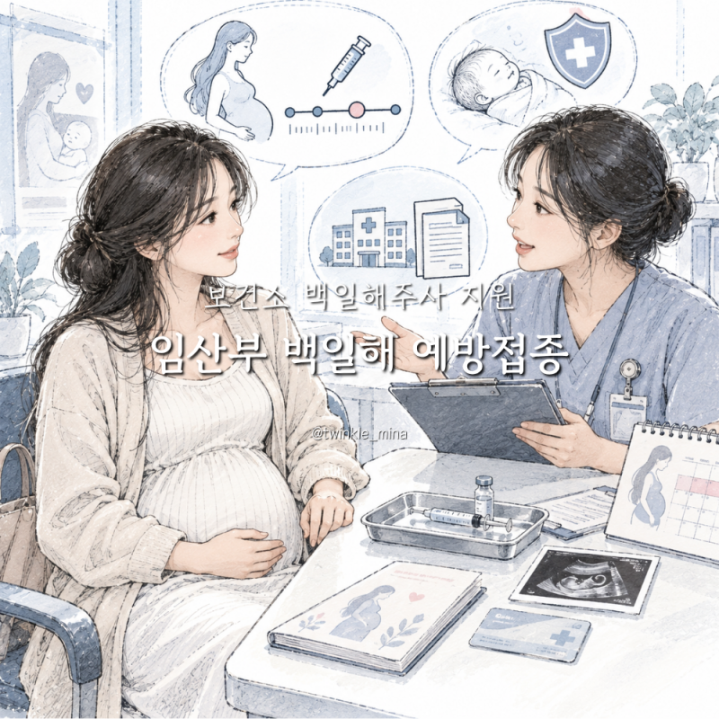 임산부 백일해 예방접종 시기 필수일까? 보건소 백일해주사 지원