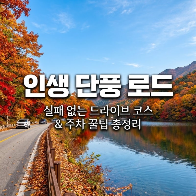 "올가을 단풍 드라이브는 이 글 하나로 끝!" 보발재부터 호명호수까지 코스·주차·셔틀 총정....