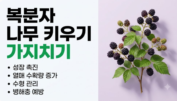 복분자 나무 키우기 가지치기, 시기와 방법 물주기 재배법 정리