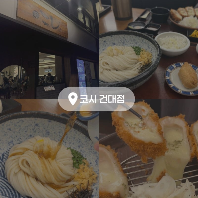 건대입구 맛집, 씹는 맛이 좋은 붓카케 우동, 카츠가 맛있는 코시 건대점