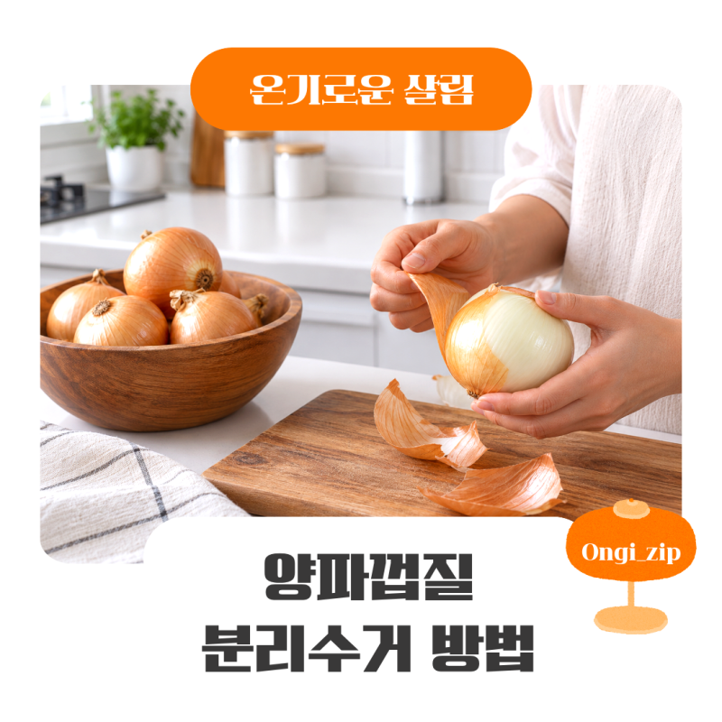 양파껍질 분리수거, 음식물쓰레기일까 일반쓰레기일까 헷갈린다면