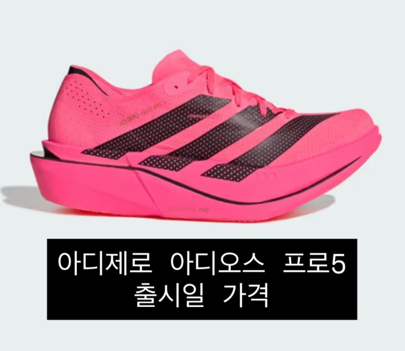 아디다스 아디제로 아디오스 프로5 출시일 한국 발매 일정 가격