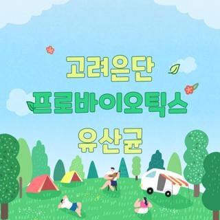 고려은단 프로바이오틱스 유산균 스페셜핏 차이점, 직접 먹어보고 뼈저리게 느낀 솔직 후기