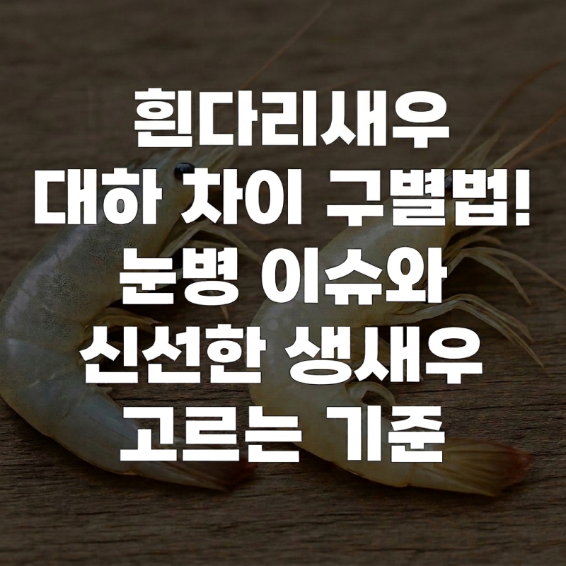 흰다리새우 대하 차이 구별법! 눈병 이슈와 신선한 생새우 고르는 기준