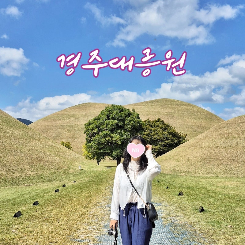 9월 꼭 가야되는 경주 여행지 대릉원 포토존부터 천마총 무료 관람까지