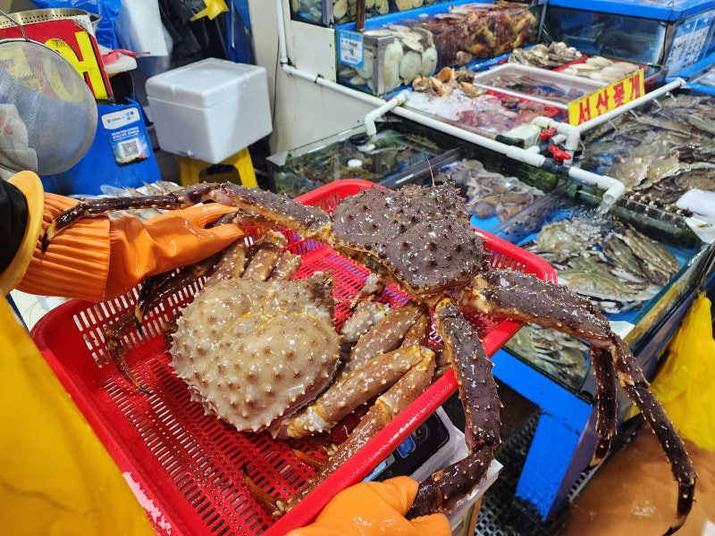 추석 연휴 노량진수산시장 영업시간 확인하고 노들수산 대게 실속 구매하기