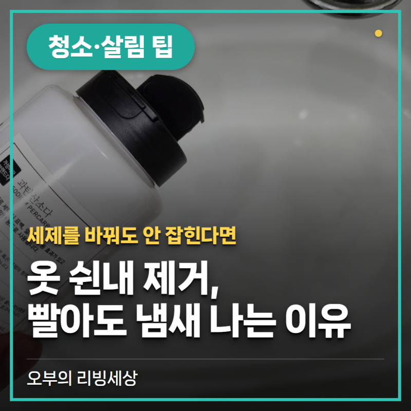 옷 쉰내 제거, 빨았는데도 냄새 나는 진짜 이유 (덜마름·세탁조 관리)