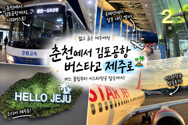 춘천시외버스터미널에서 김포공항 버스 타기, 제주여행 시작부터 당황한 이유