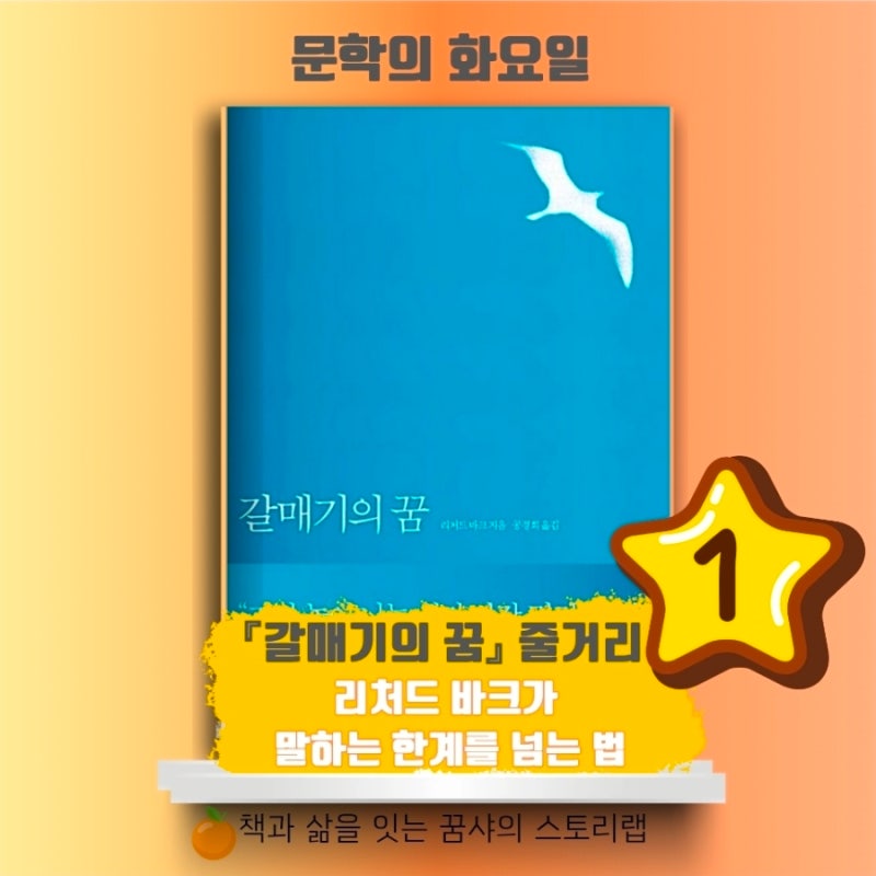 갈매기의 꿈 줄거리 리처드 바크가 말하는 한계를 넘는 법
