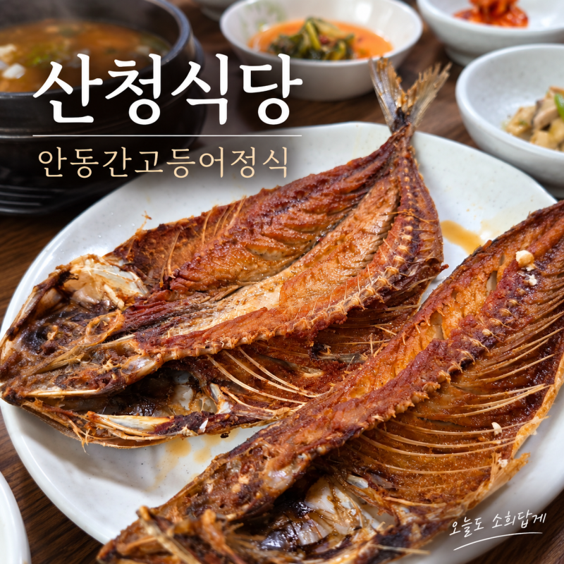 [안동 간고등어 맛집] 산청식당, 고등어 먹으러 갔다가 밑반찬에 반한 다섯 식구 점심