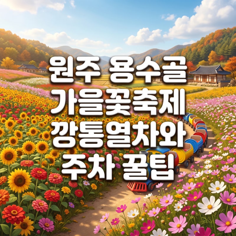 원주 용수골 가을꽃축제 깡통열차 예약과 주차장 명당 정리