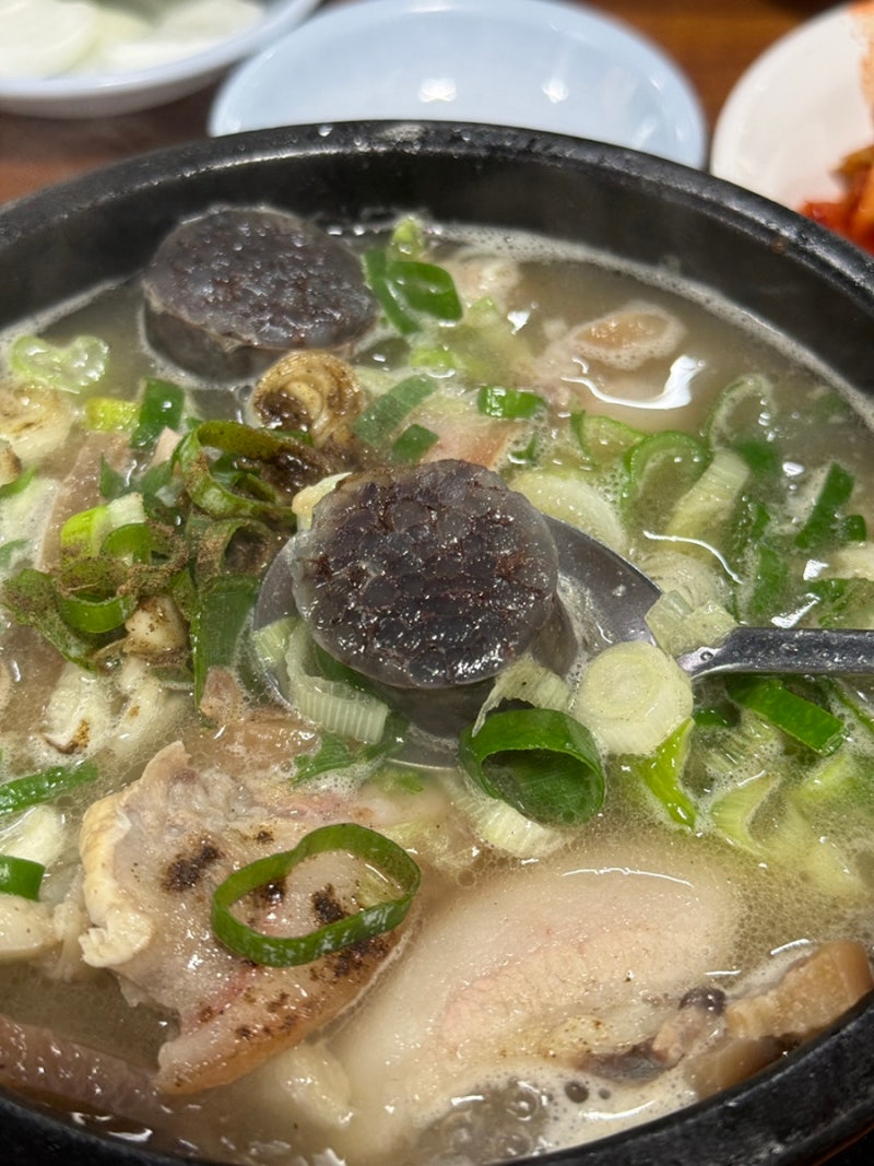 의정부 순대국 맛집 웨이팅 버드나무순대국 내돈내산 후기