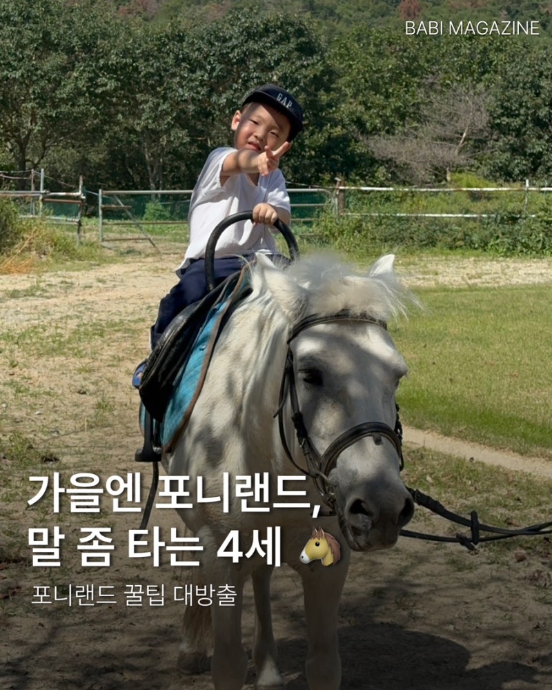 부산 근교 가을 나들이｜아이와 울산 포니랜드 다녀온 후기, 꿀팁