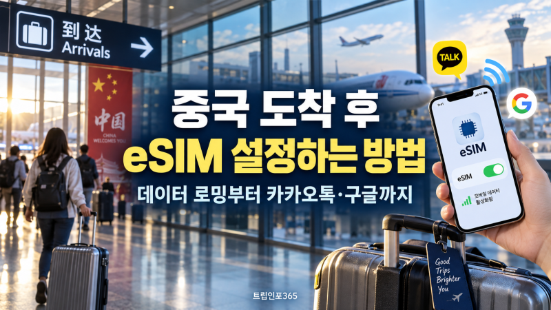 중국 도착 후 eSIM 설정하는 방법｜데이터 로밍부터 카카오톡·구글 사용까지
