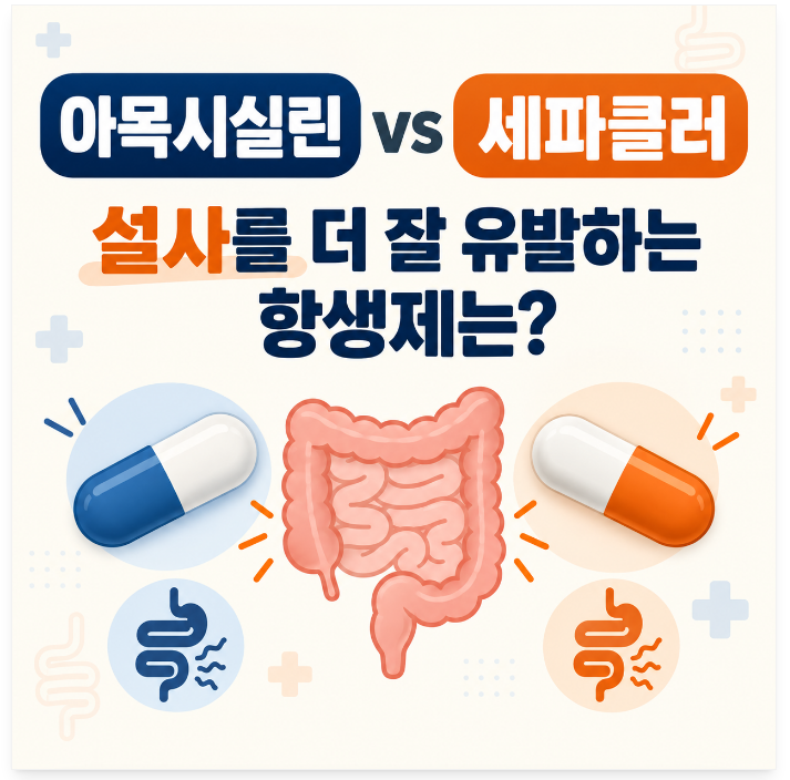 아목시실린과 세파클러, 어떤 항생제가 설사를 더 잘 유발할까?