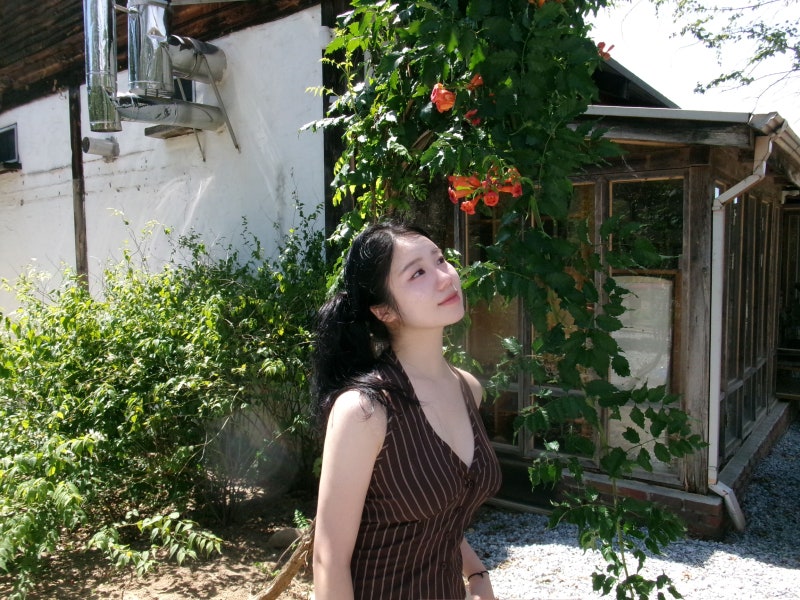 빈티지디카처럼 나오는 코닥 픽스프로 FZ55 인물사진 추천 디카