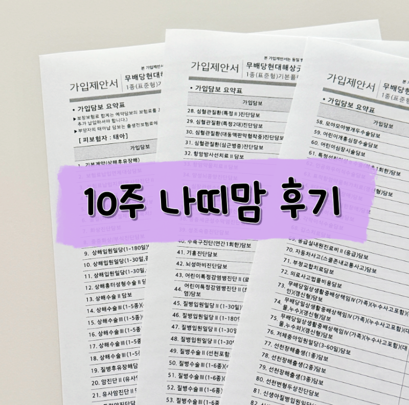 삼성화재 태아보험 실비 따로 다이렉트 / 현대해상 종합 사은품 (내돈내산 광고x)