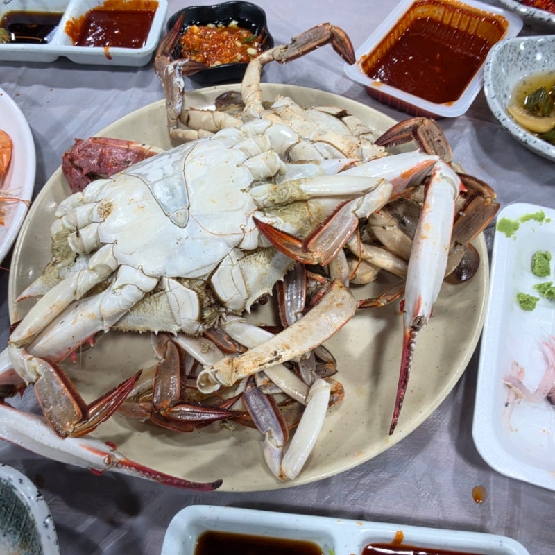 노량진보다 편하게 먹었다! 강서수협 수산물대전 20% 할인｜꽃게·왕새우·전어