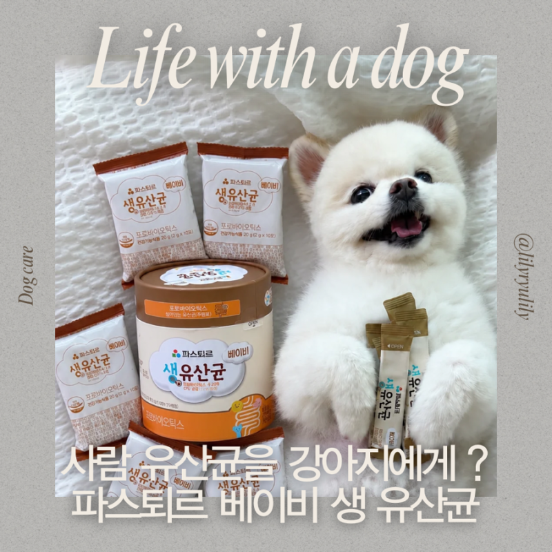고양이유산균 강아지유산균추천 | 파스퇴르 베이비 생유산균 :: 사람유산균 강아지급여후기 ....