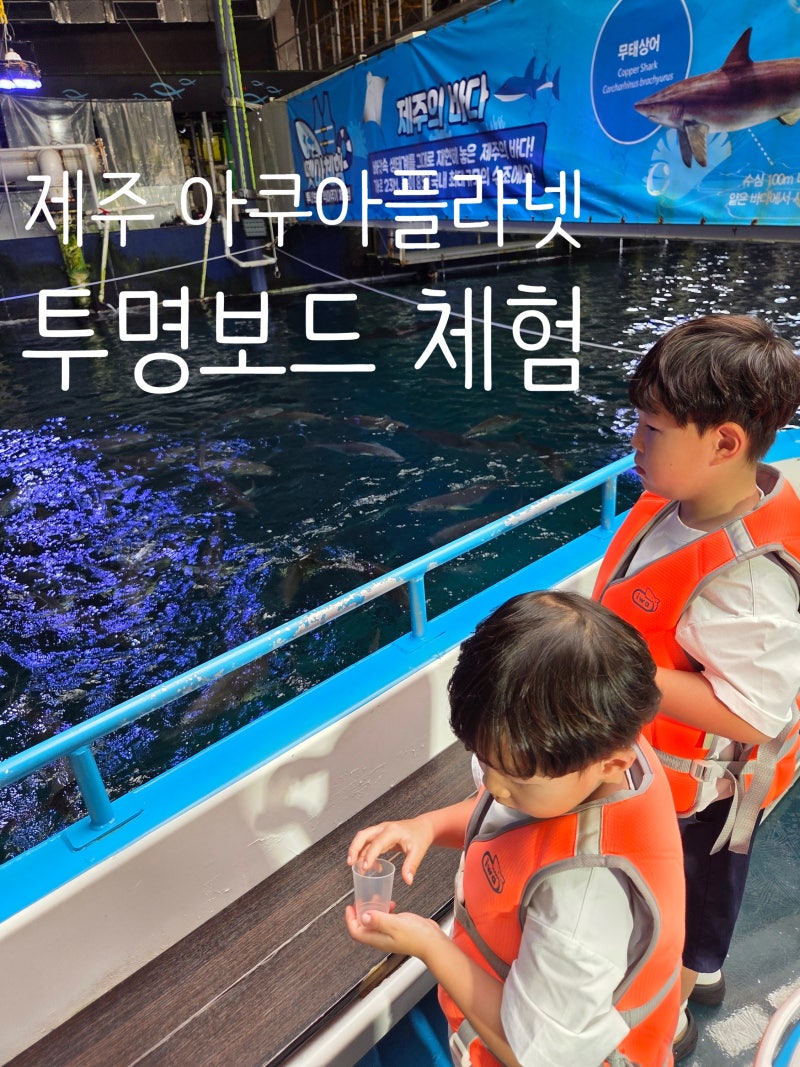 제주 아쿠아플라넷 투명보트 아이와 체험 후기｜오픈런 9시 50분 첫 타임 추천
