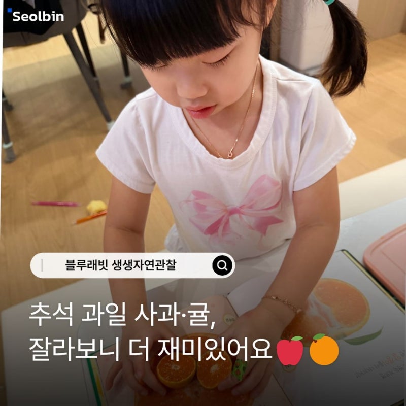 블루래빗 NEW 생생 자연관찰 추석 사과·귤 실물 탐구와 오감 독후활동