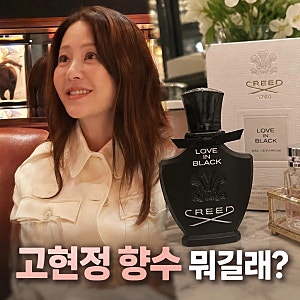 고현정 향수 뭐 쓰길래 크리드 러브 인 블랙 향 정보 가격