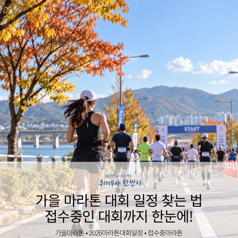가을 마라톤 대회 일정 찾는 법｜접수중 마라톤 놓치지 않는 검색 꿀팁