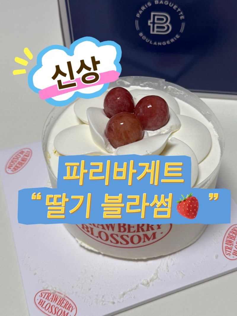 파리바게뜨 신상 케이크 추천! 비주얼 끝판왕 ‘딸기 블라썸’ 솔직 후기