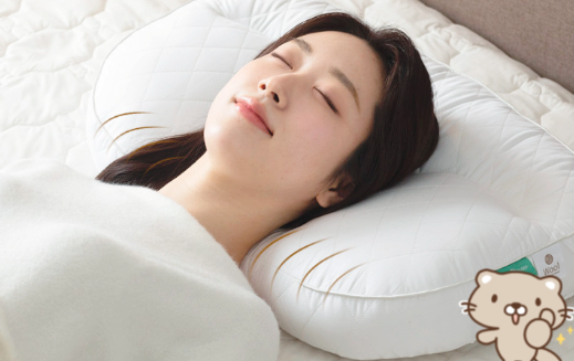 아이유 베개 슬립앤슬립 깊은잠 배게 다들 추천하는 이유