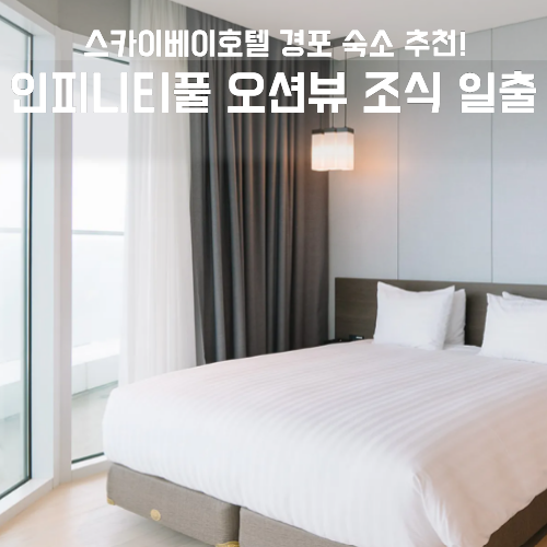 스카이베이호텔 경포 인피니티풀 오션뷰 조식 일출 할인 꿀팁