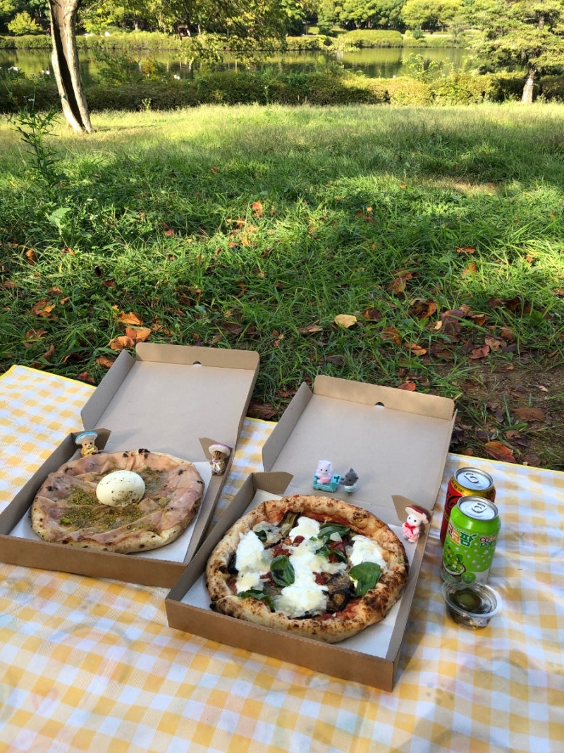 [일산] 일산호수공원 피크닉 명당 & 정발산역 맛집 포폴로피자 웨이팅, 포장 전화 주차 내돈....