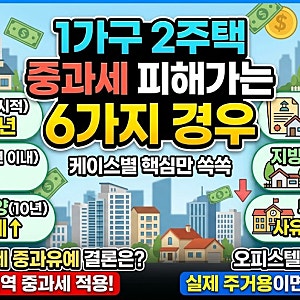 1가구 2주택 중과세 예외규정 6가지 !! (케이스별 핵심만 쏙쏙, 2026년 양도세 중과 유예 결론은....