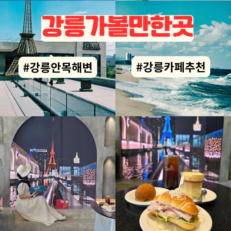 강릉 가볼만한곳 안목해변 근처 강릉 카페 추천