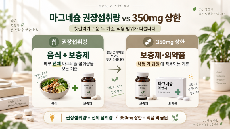 마그네슘 하루 몇 mg 먹어야 할까?｜권장섭취량과 영양제 350mg 상한 차이