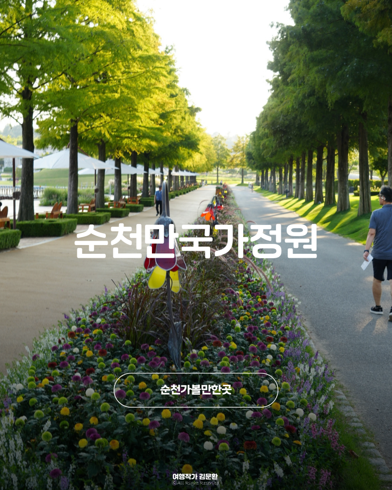 순천가볼만한곳 순천만국가정원 9월 볼거리 산책후기