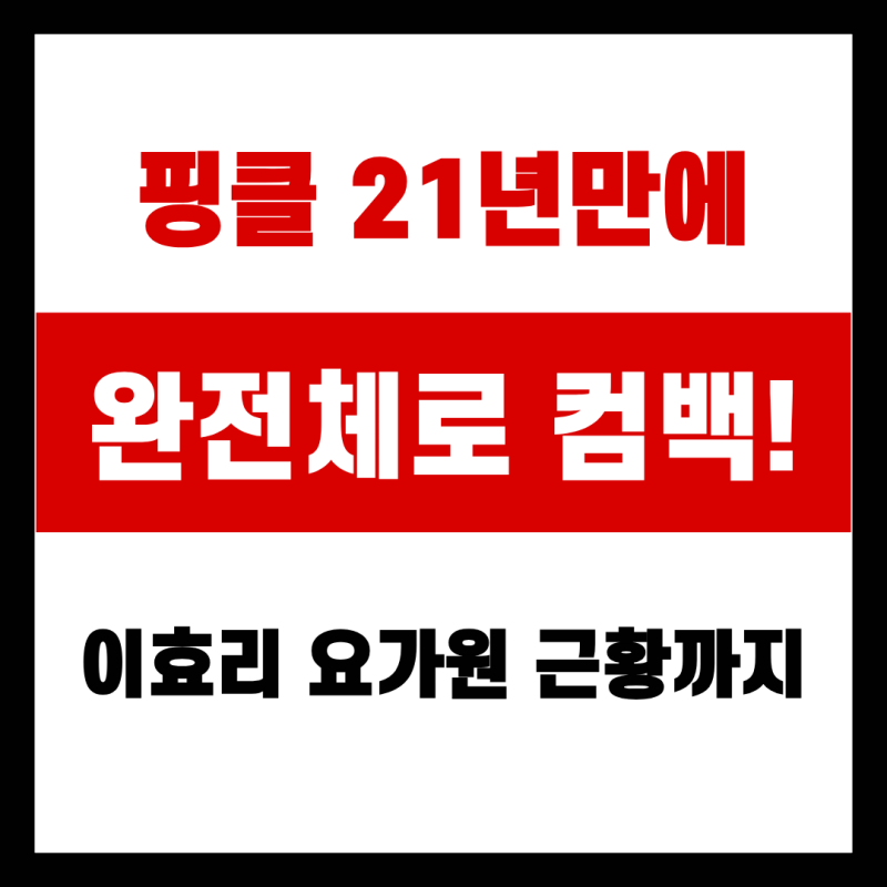 핑클 21년만에 완전체로! 이효리 요가원 근황까지