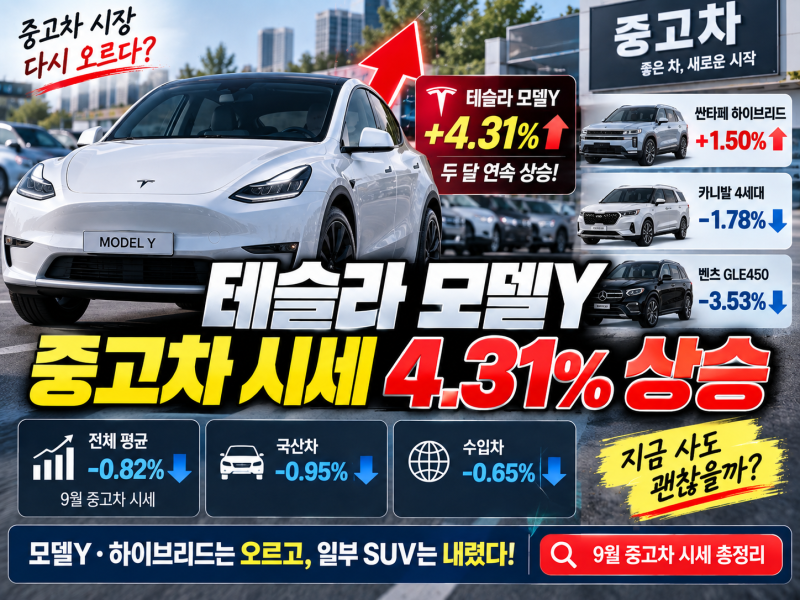 테슬라 모델Y 중고차 시세 4.31% 상승, 9월 중고차 가격 왜 올랐을까?