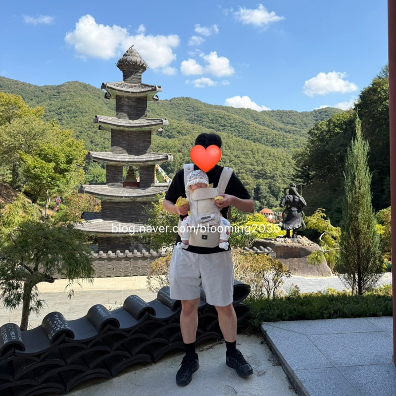 용인 5개월 아기랑 갈만한 곳 | 와우정사 주차 야외 체험 꿀팁