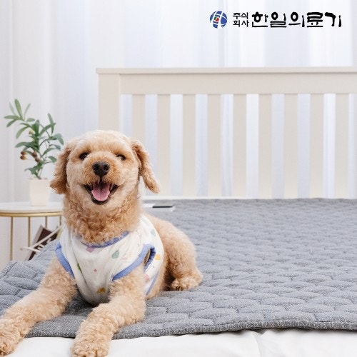 한일의료기 탄소매트 전기매트 온열매트 전자파없는 전기장판 캠핑 침대 1인용 싱글 가성비 ....