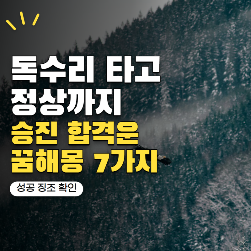 "큰 성공 앞두고 나타나는 꿈일까?" 독수리를 타고 산 정상까지 날아가는 꿈, 승진·합격운 의....
