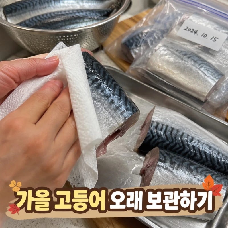 [가을철 고등어 보관법] 오래 두고 먹으려면 어떻게 손질해야 할까?
