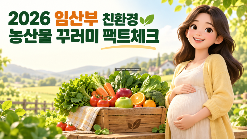 2026 임산부 친환경 농산물 꾸러미 신청 자격 및 에코이몰 쇼핑몰 팩트체크
