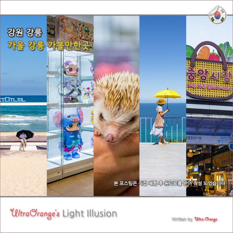 Recommended Fun Activities and Hot Spots in Gangneung, Gangwon-do