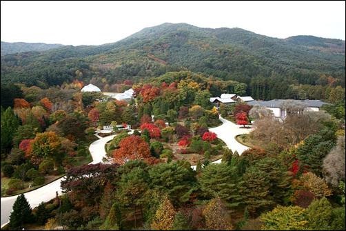 2026 추석 무료개방 총정리｜국립수목원·세종수목원·백두대간수목원 무료입장