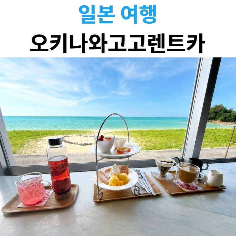 완벽했던 오키나와고고렌트카 자유여행 일정 코스 추천