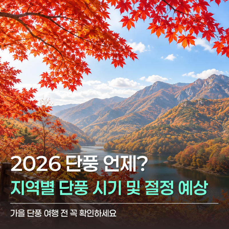 2026 가을 단풍 명소 어디로 갈까? 지역별 단풍 시기와 절정 예상