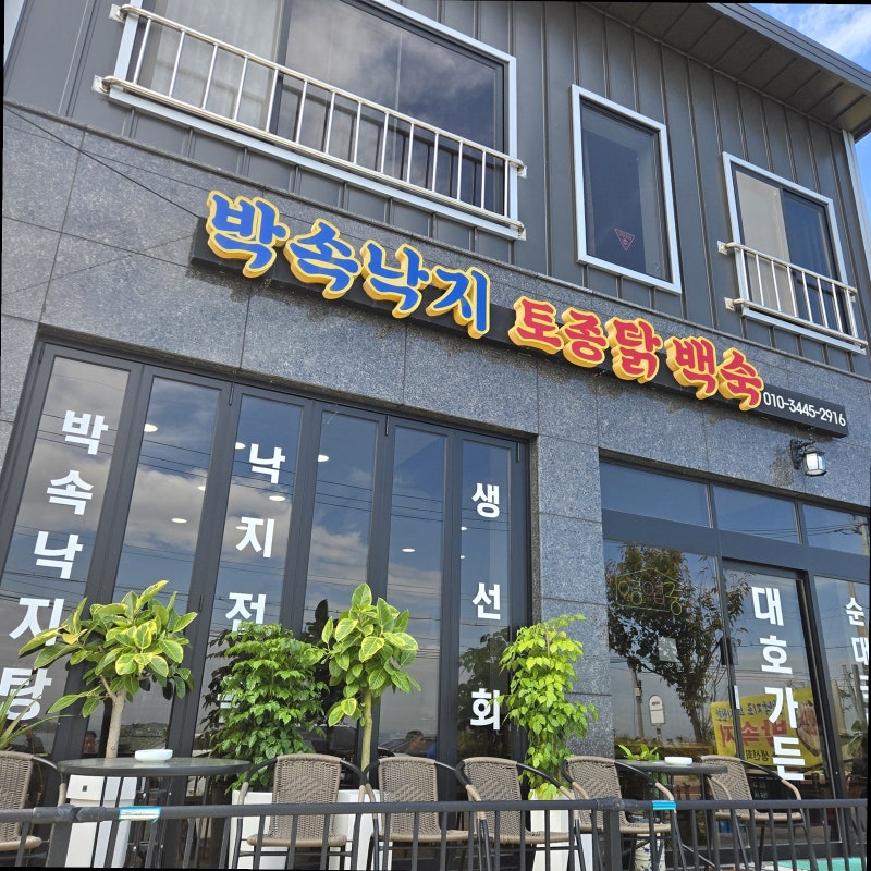 당진 석문면 바다 뷰 맛집 '대호가든' 솔직후기: 시원한 박속낙지 먹는 팁부터 칼국수 사리, ....
